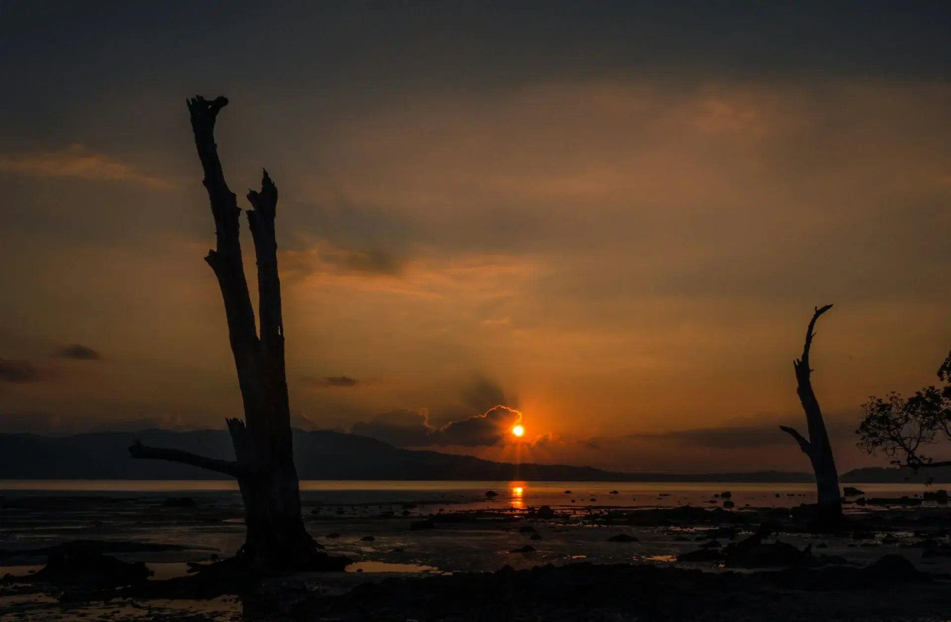 Andaman Nicobar landscape
