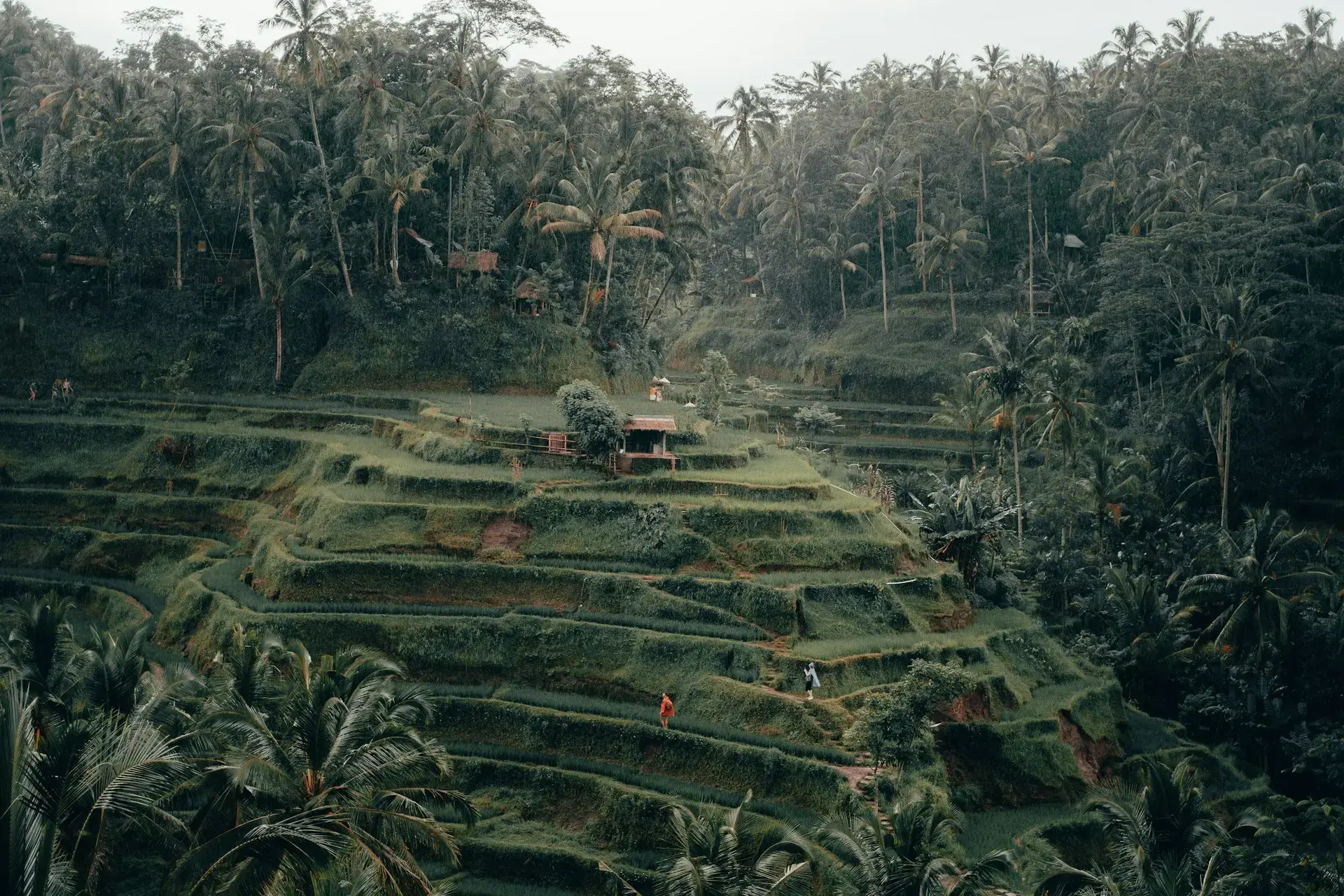 Bali image 2