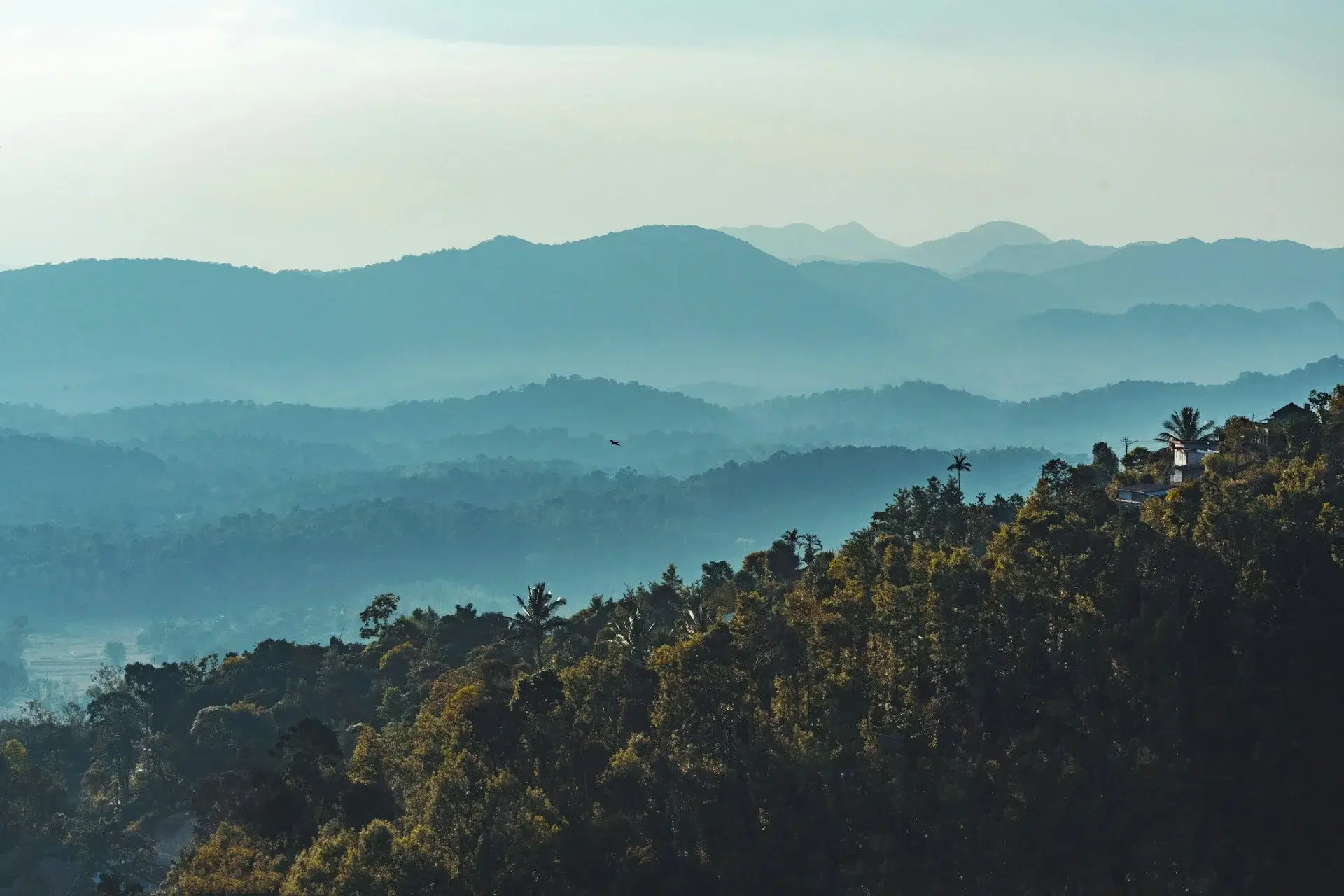 Scenic view of Coorg