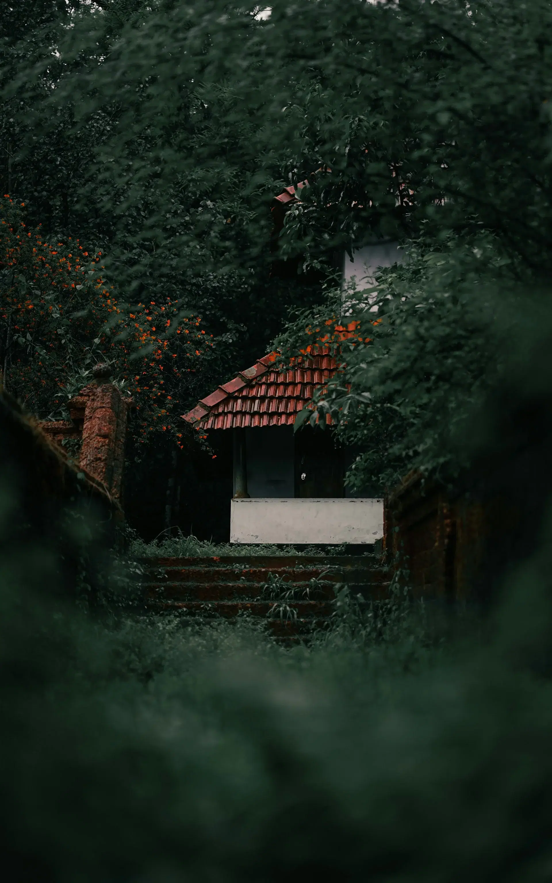 Scenic view of Kerala
