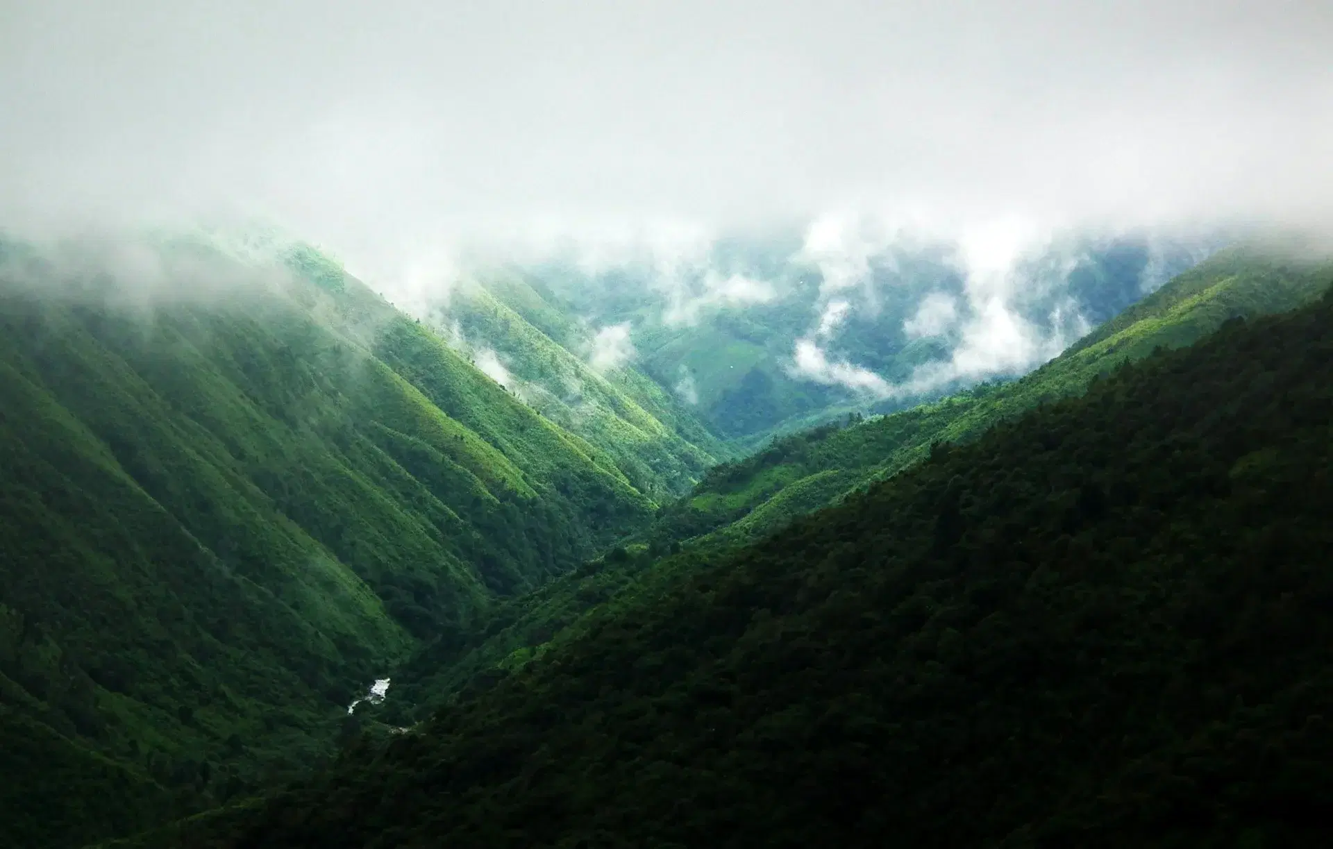 Scenic view of Meghalaya