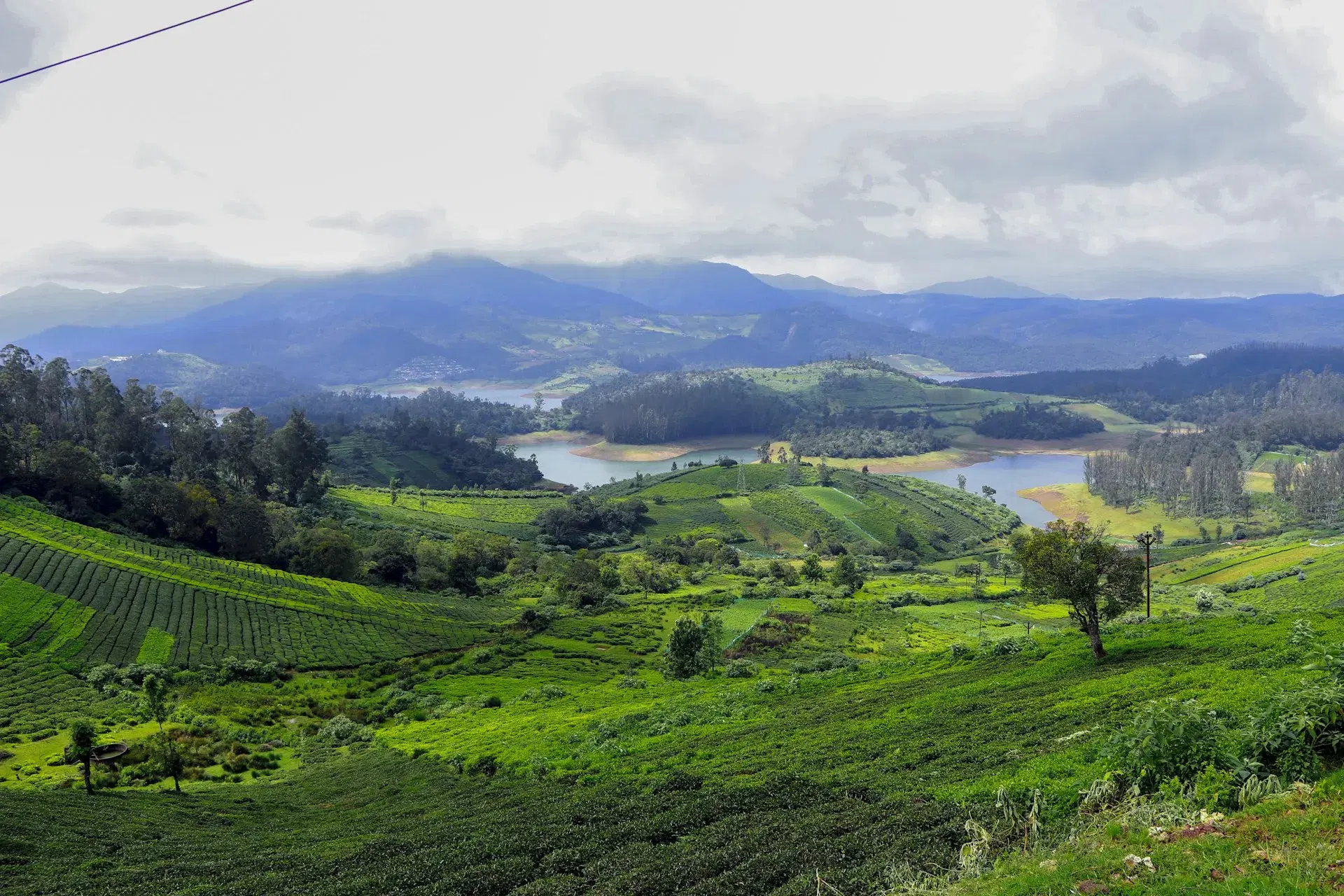 Scenic view of Ooty