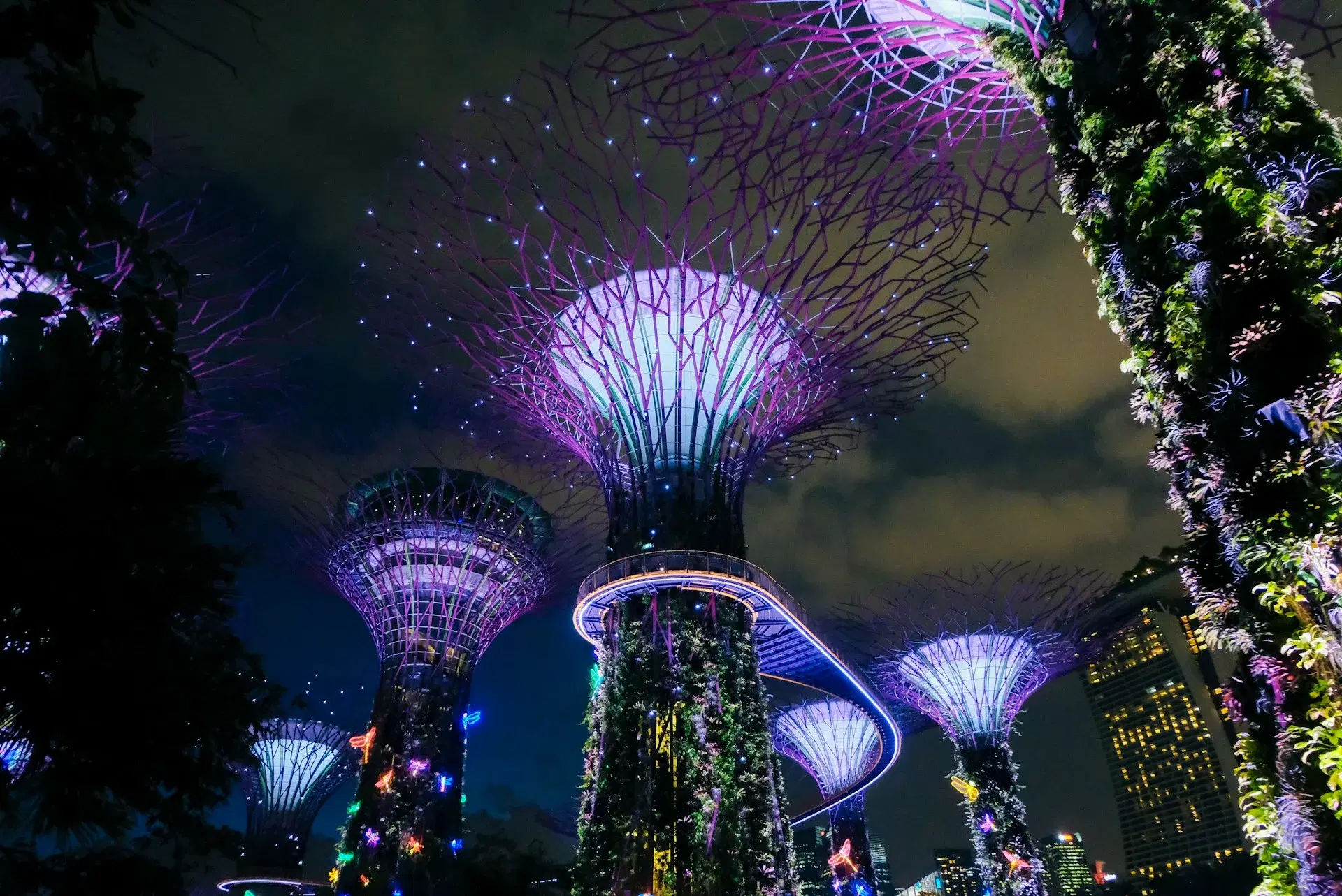 Singapore landscape