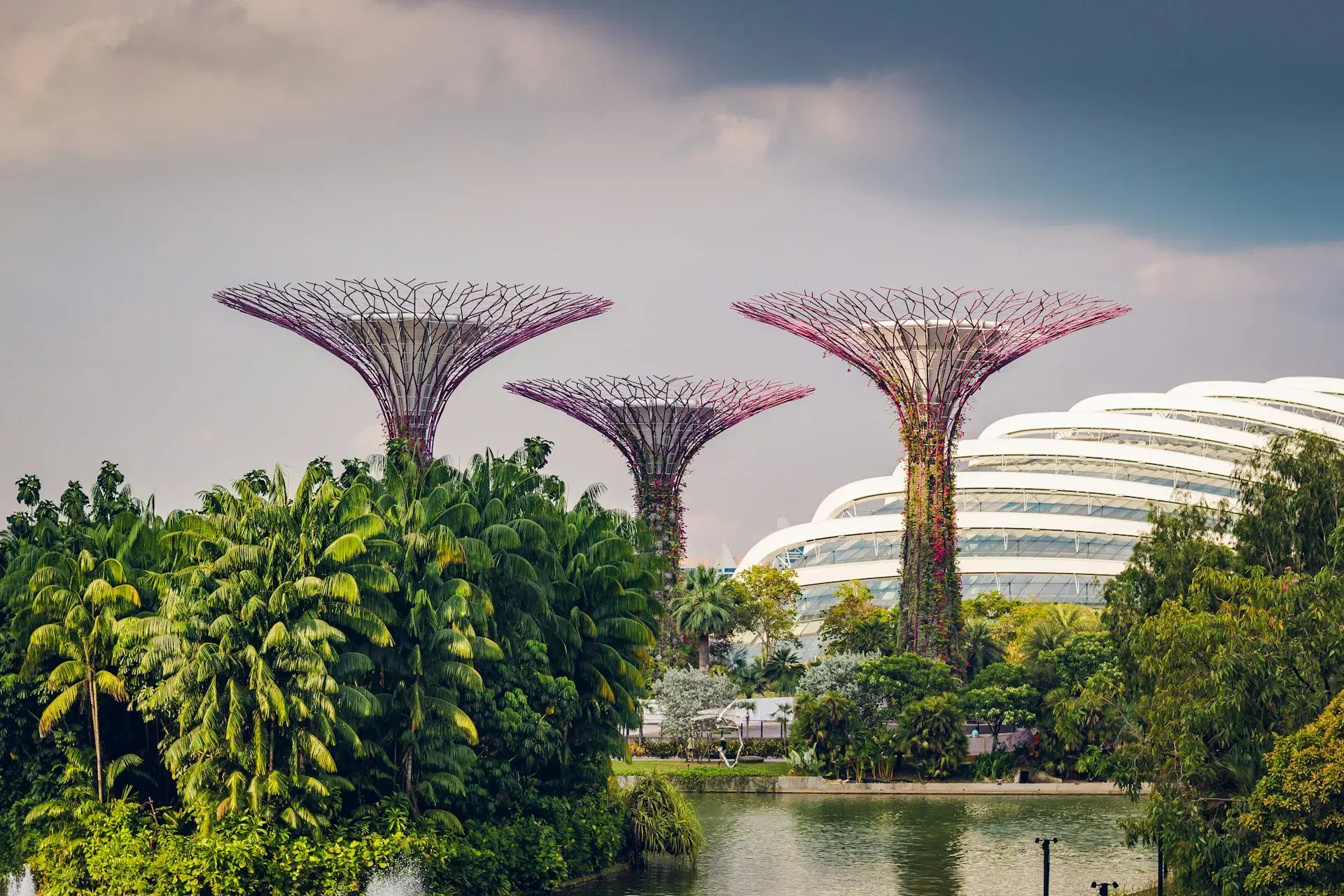 Singapore image 3