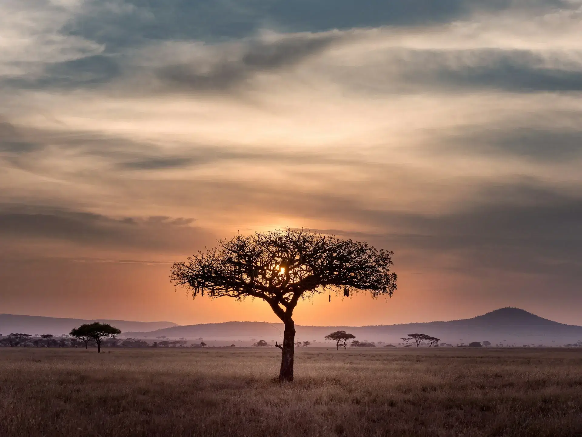 Travel scenery in Tanzania