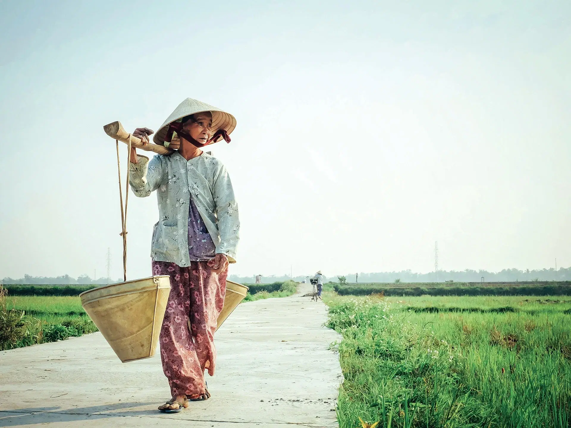 Vietnam image 2