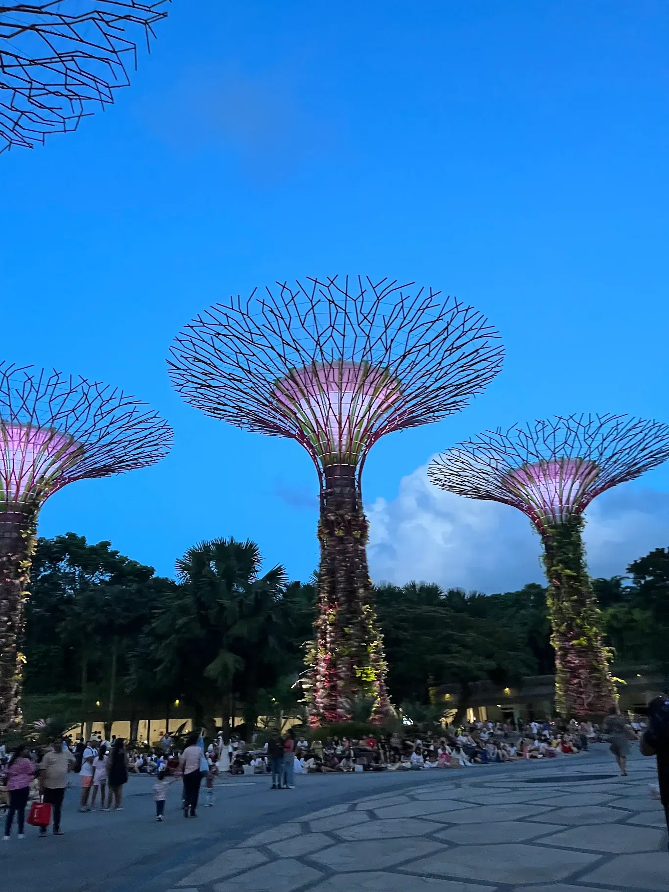 5-Day Singapore City Escape with Universal Studios and Sentosa Island photo 4