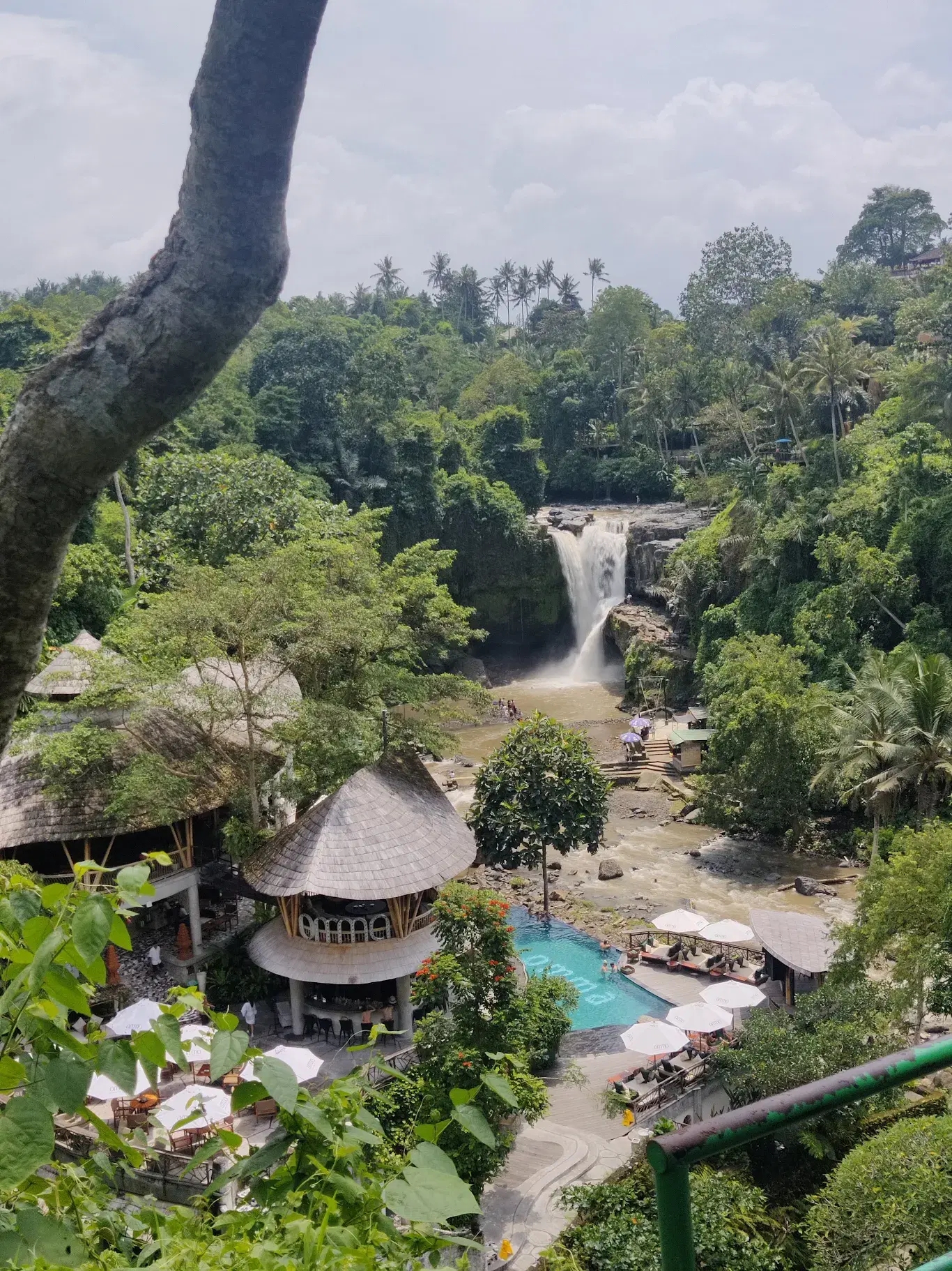 6-Day Luxury Bali Getaway: Presidential Suites and Safari Wildlife Experience photo 3