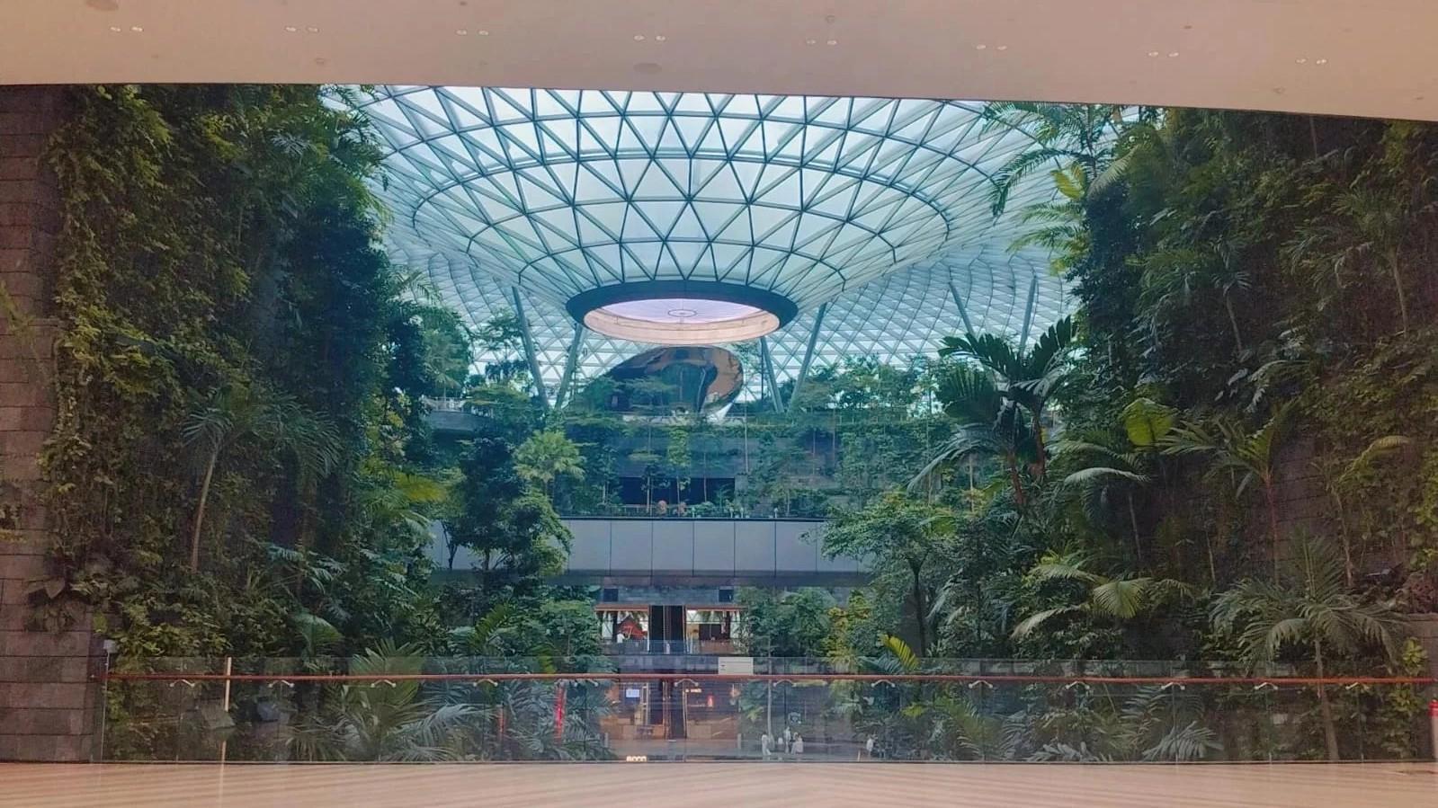 6-Day Singapore Adventure: Universal Studios, Night Safari, and Iconic Gardens photo 1