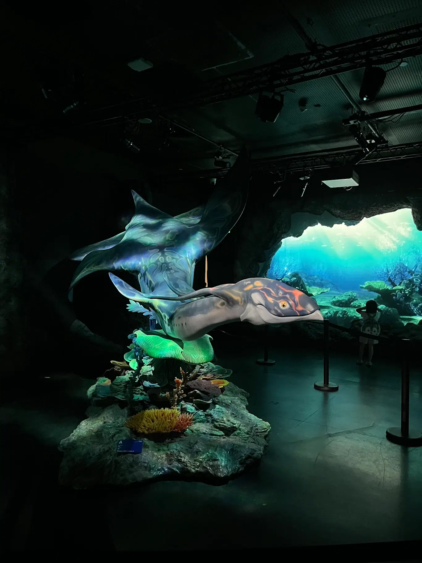 6-Day Singapore Adventure: Universal Studios, Night Safari, and Iconic Gardens photo 3