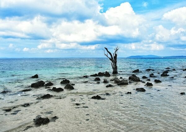 Andaman Islands Tour