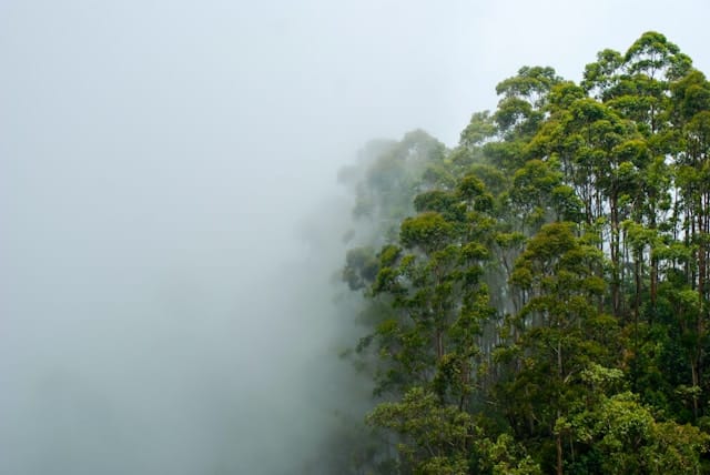 Sri Lanka Tour