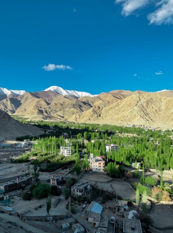 Ladakh Tour